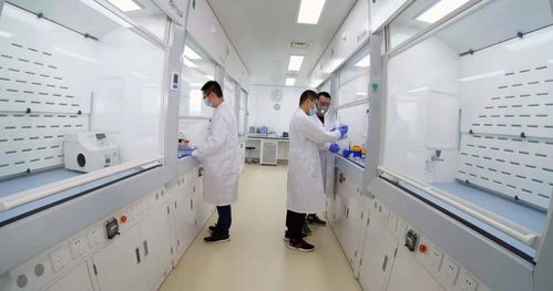 煙臺業達孵化中心入孵企業ADC新藥申報臨床，區域生物技術研發迎來新突破