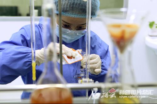 一場源自保溫杯的偉大出走——智慧農業與生物技術釀出的新神話